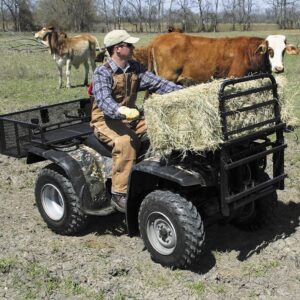 Order Genuine Great Day ATV/UTV PowerLoaders PL250 For Sale